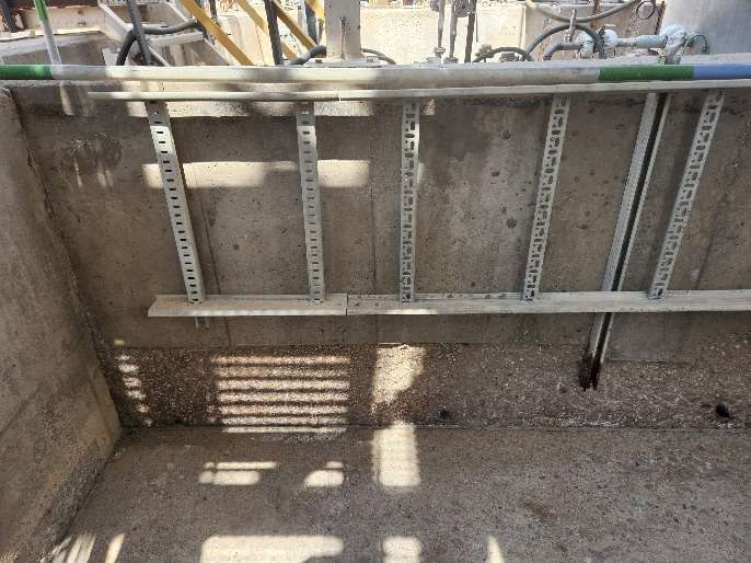 Image_1